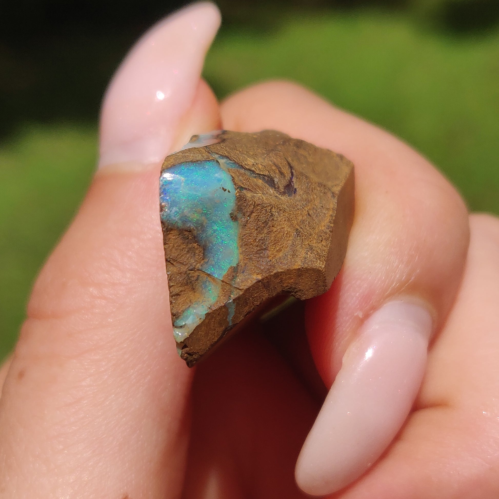 Australian Boulder Opal Rough Specimen(#11) - Simply Affinity