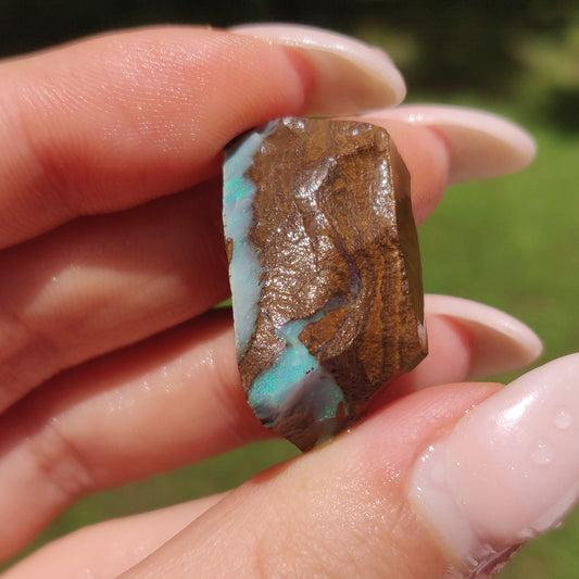 Australian Boulder Opal Rough Specimen(#11) - Simply Affinity