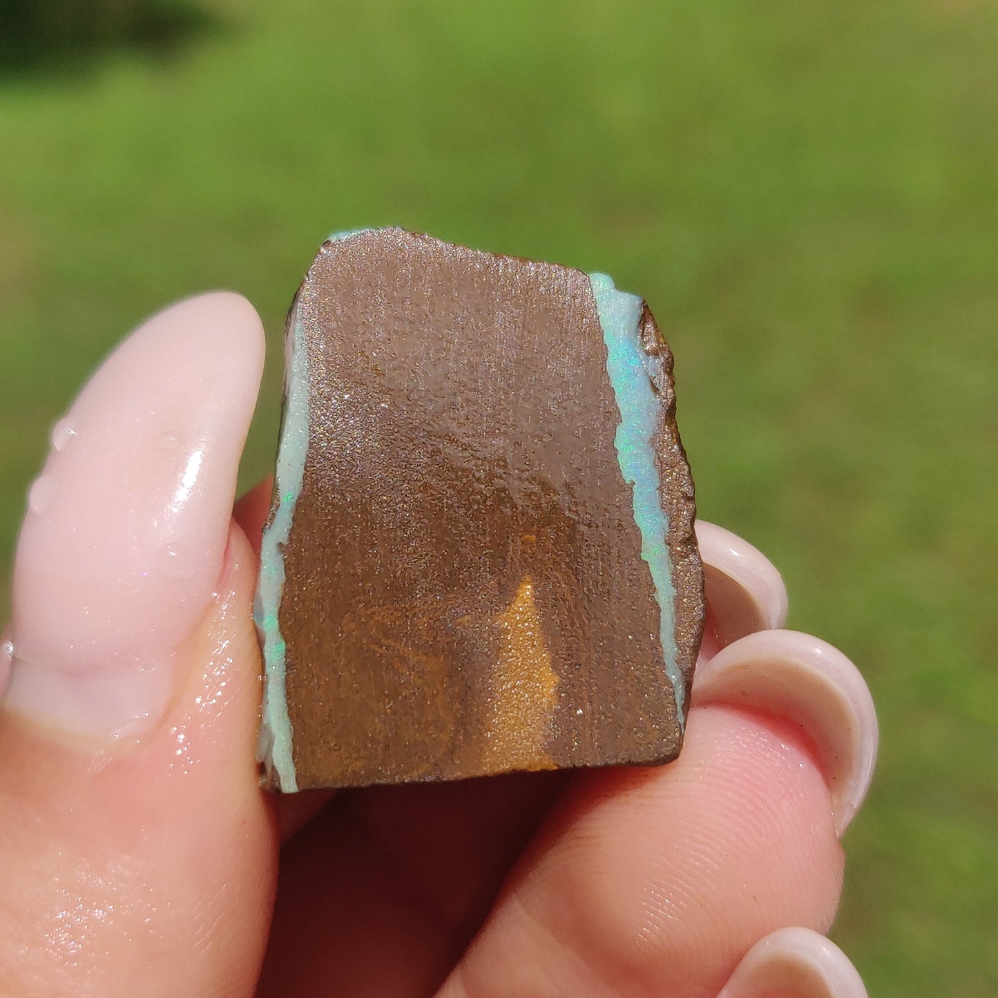 Australian Boulder Opal Rough Specimen(#11) - Simply Affinity