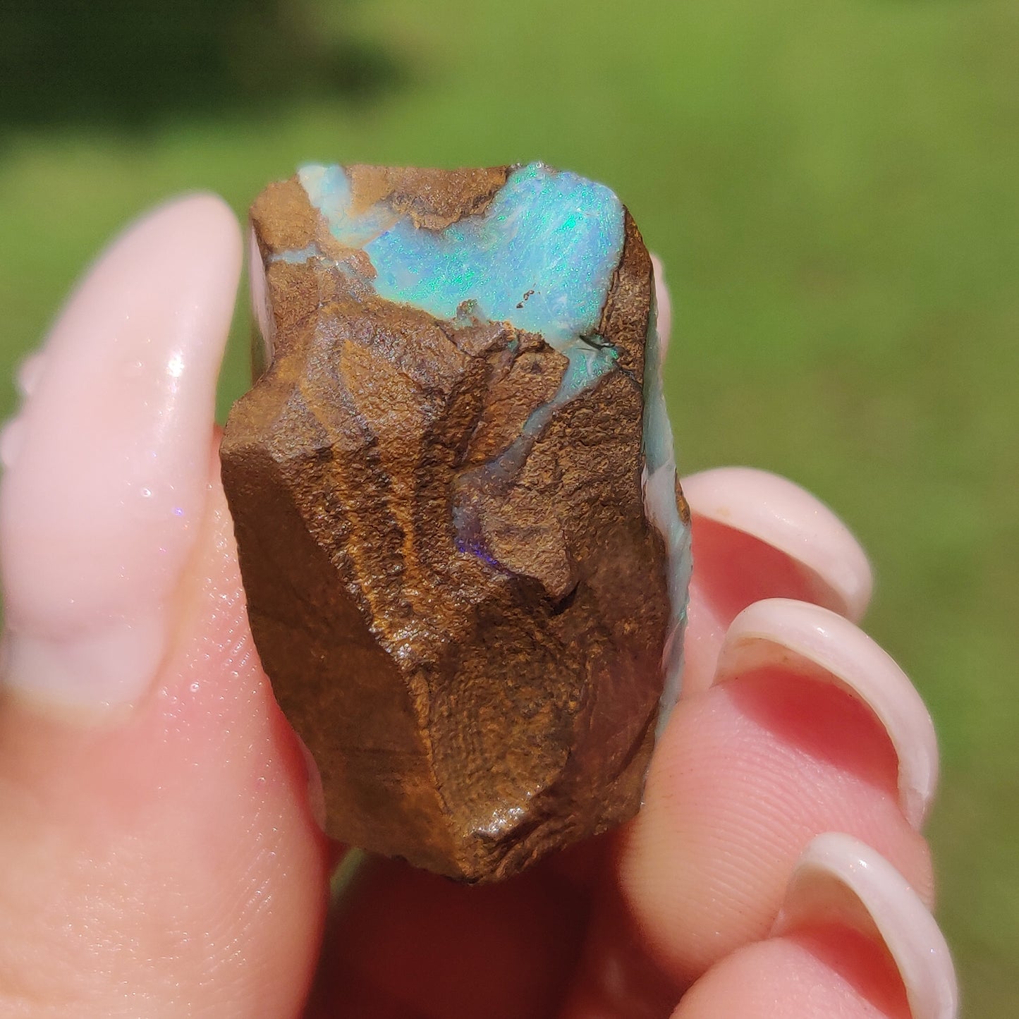 Australian Boulder Opal Rough Specimen(#11) - Simply Affinity