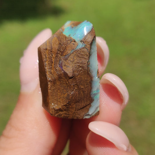 Australian Boulder Opal Rough Specimen(#11) - Simply Affinity