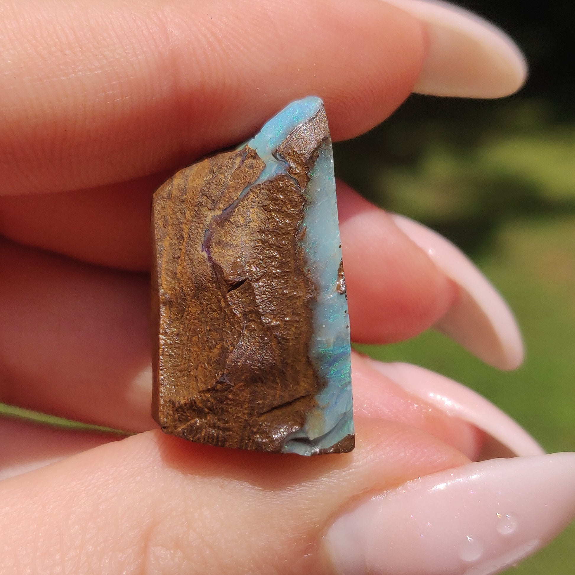 Australian Boulder Opal Rough Specimen(#11) - Simply Affinity