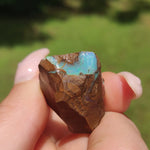 Australian Boulder Opal Rough Specimen(#11) - Simply Affinity