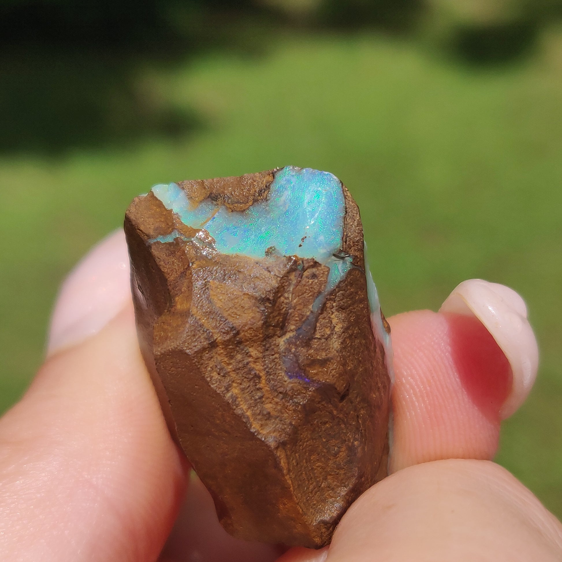 Australian Boulder Opal Rough Specimen(#11) - Simply Affinity