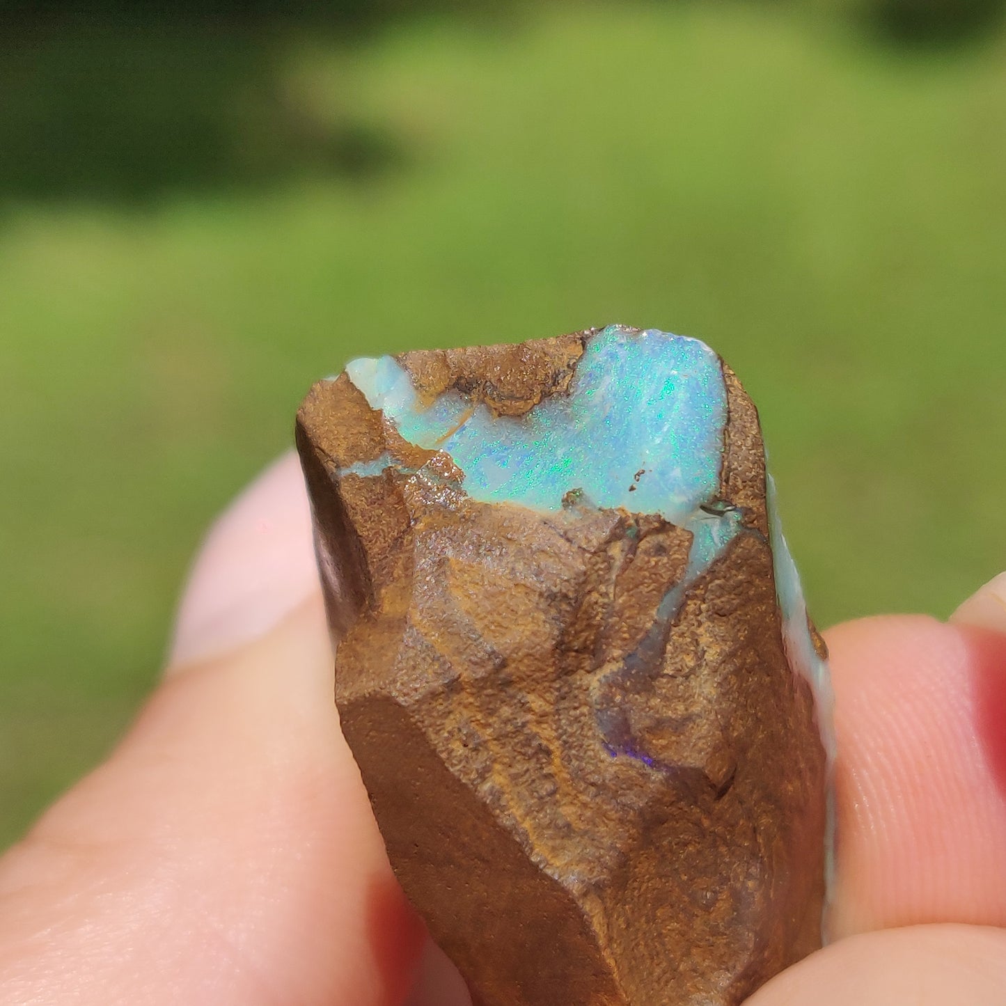 Australian Boulder Opal Rough Specimen(#11) - Simply Affinity