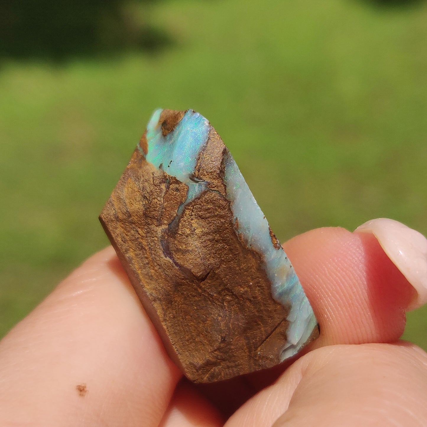 Australian Boulder Opal Rough Specimen(#11) - Simply Affinity