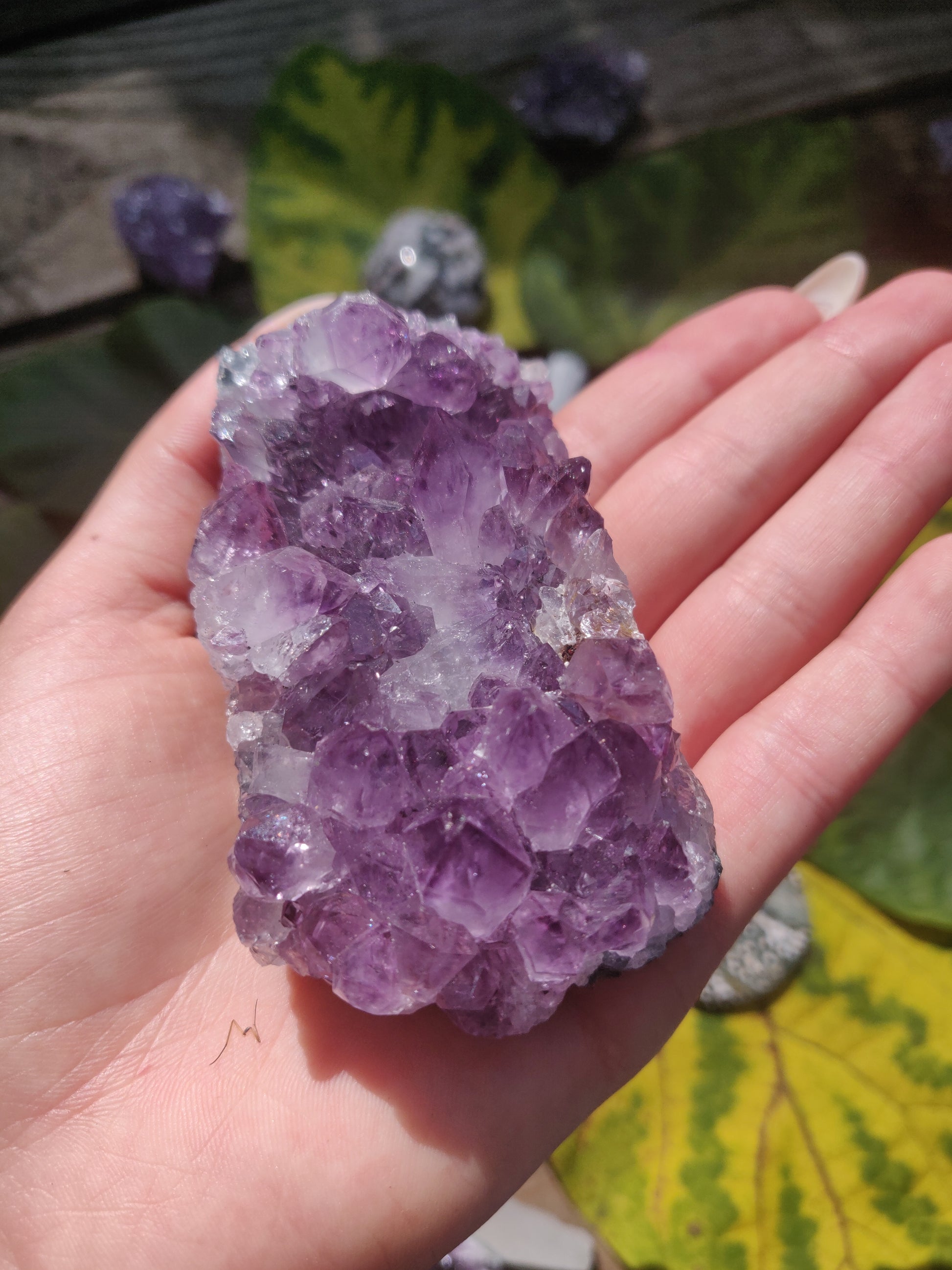 Amethyst Cluster (#1) - Simply Affinity