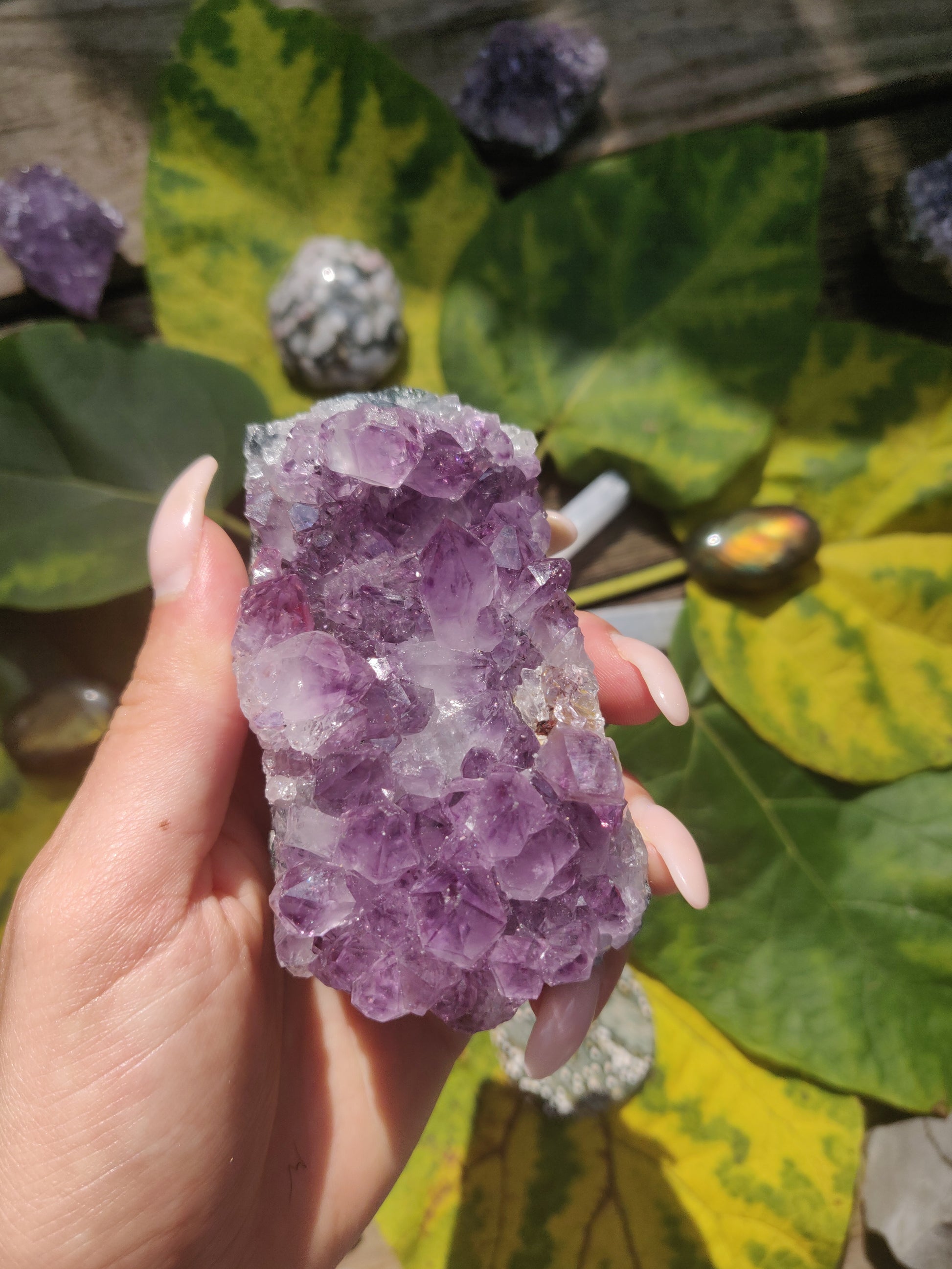 Amethyst Cluster (#1) - Simply Affinity