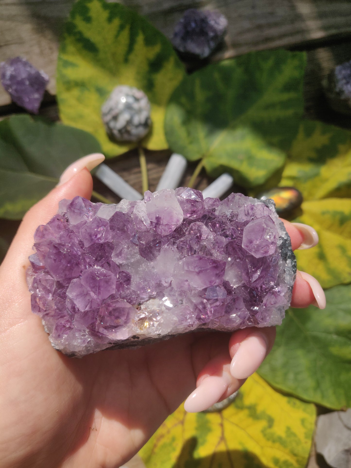 Amethyst Cluster (#1) - Simply Affinity