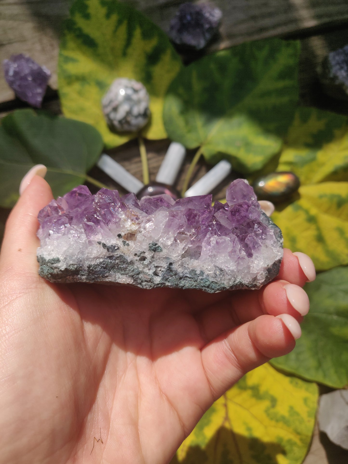 Amethyst Cluster (#1) - Simply Affinity