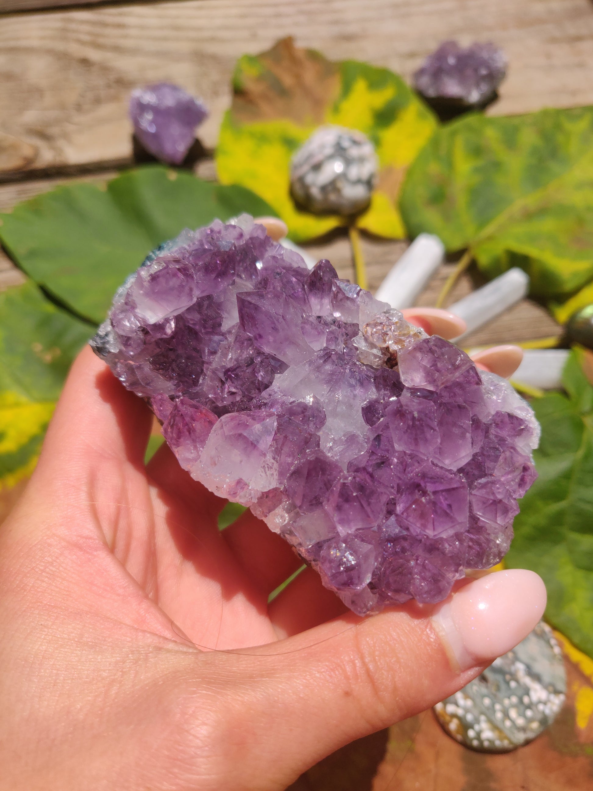 Amethyst Cluster (#1) - Simply Affinity