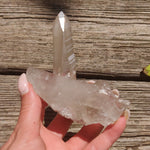 Smoky Lemurian Quartz Point (#8)