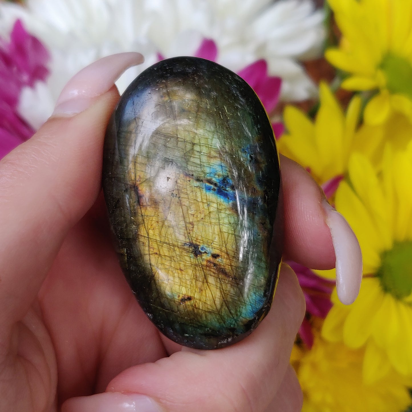 Labradorite Palm Stone (#146) - Simply Affinity