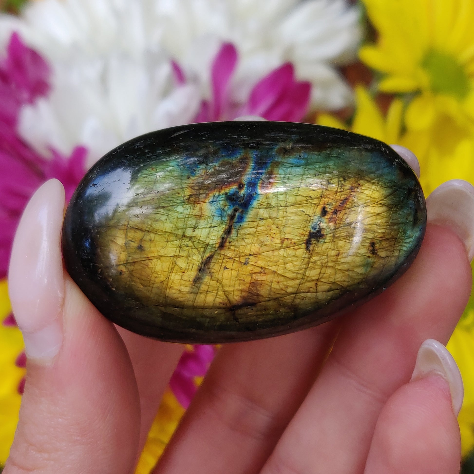 Labradorite Palm Stone (#146) - Simply Affinity