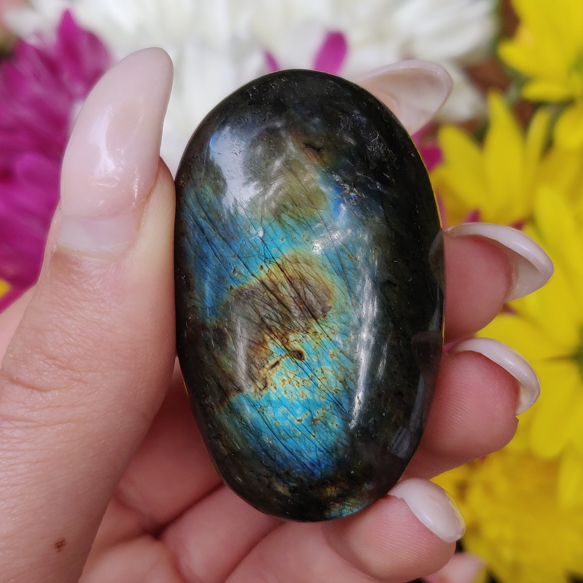 Labradorite Palm Stone (#146) - Simply Affinity