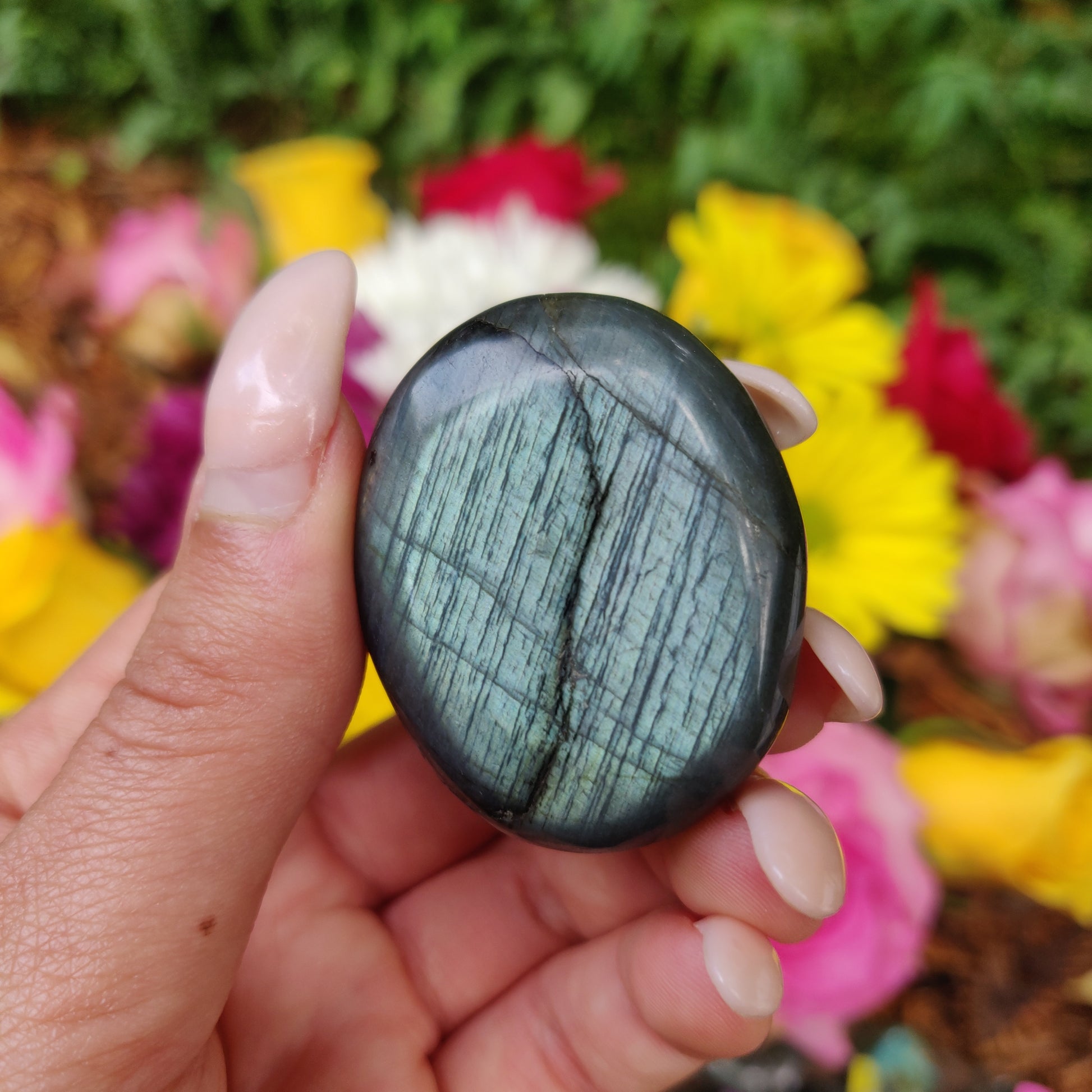 Labradorite Palm Stone (#101) - Simply Affinity