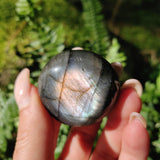 Labradorite Palm Stone (#25) - Simply Affinity