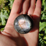 Labradorite Palm Stone (#25) - Simply Affinity