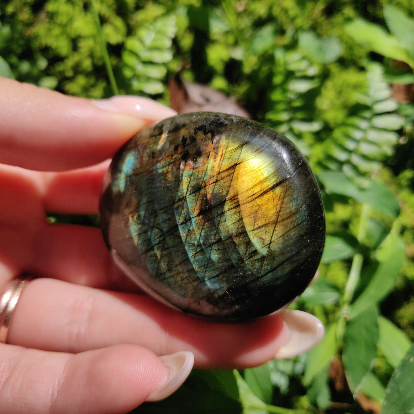 Labradorite Palm Stone (#159) - Simply Affinity