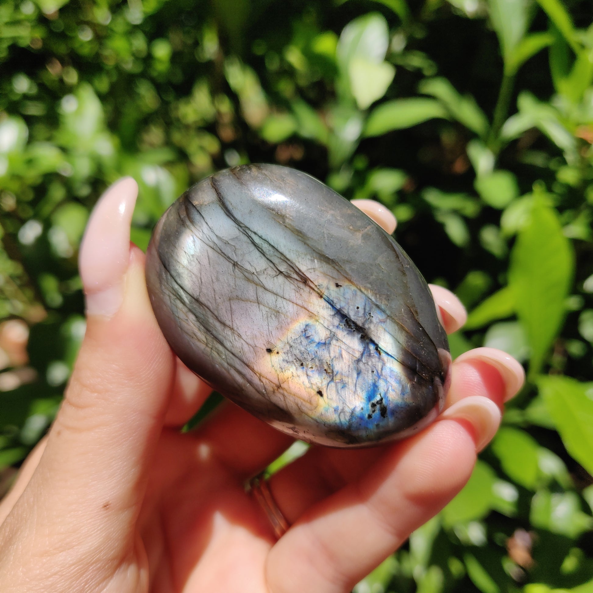 Labradorite Palm Stone (#127) - Simply Affinity