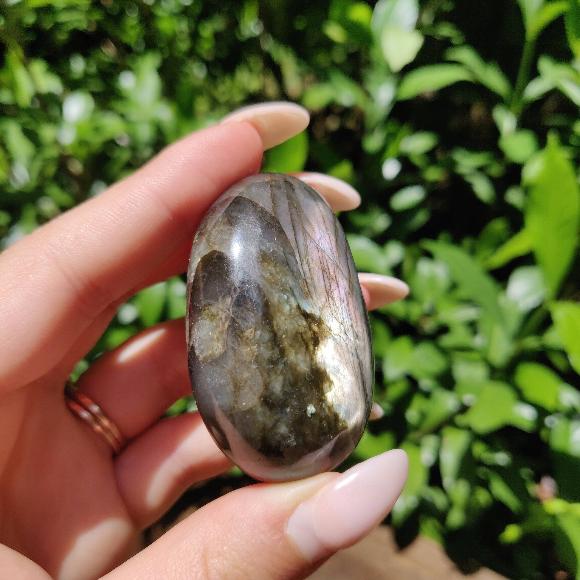 Labradorite Palm Stone (#127) - Simply Affinity