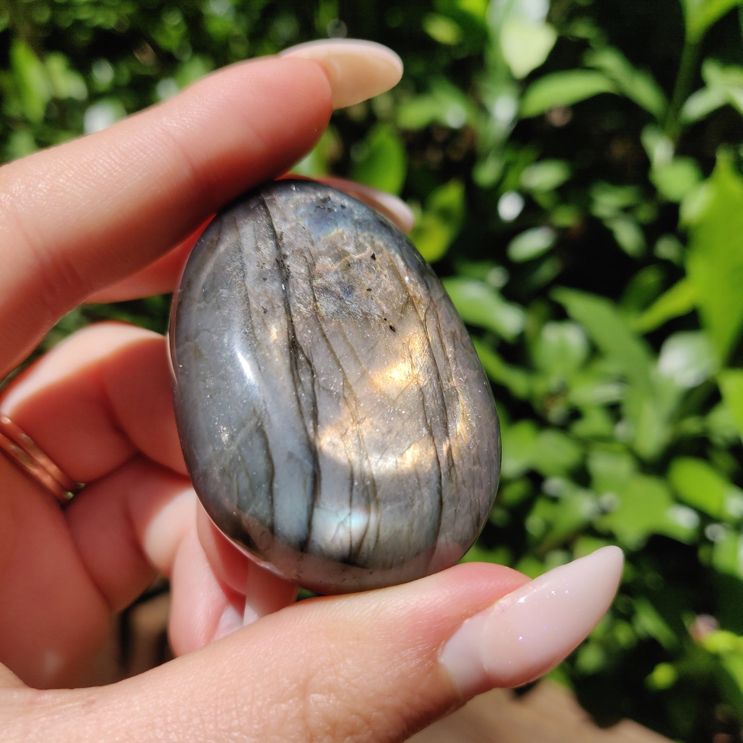 Labradorite Palm Stone (#127) - Simply Affinity