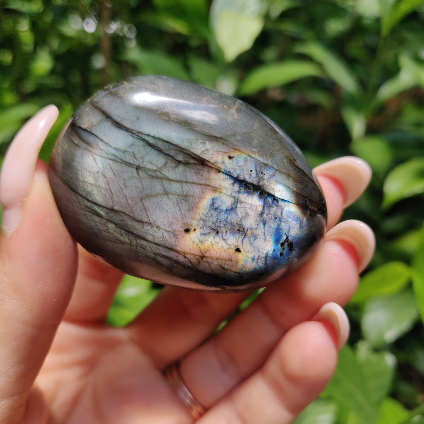 Labradorite Palm Stone (#127) - Simply Affinity