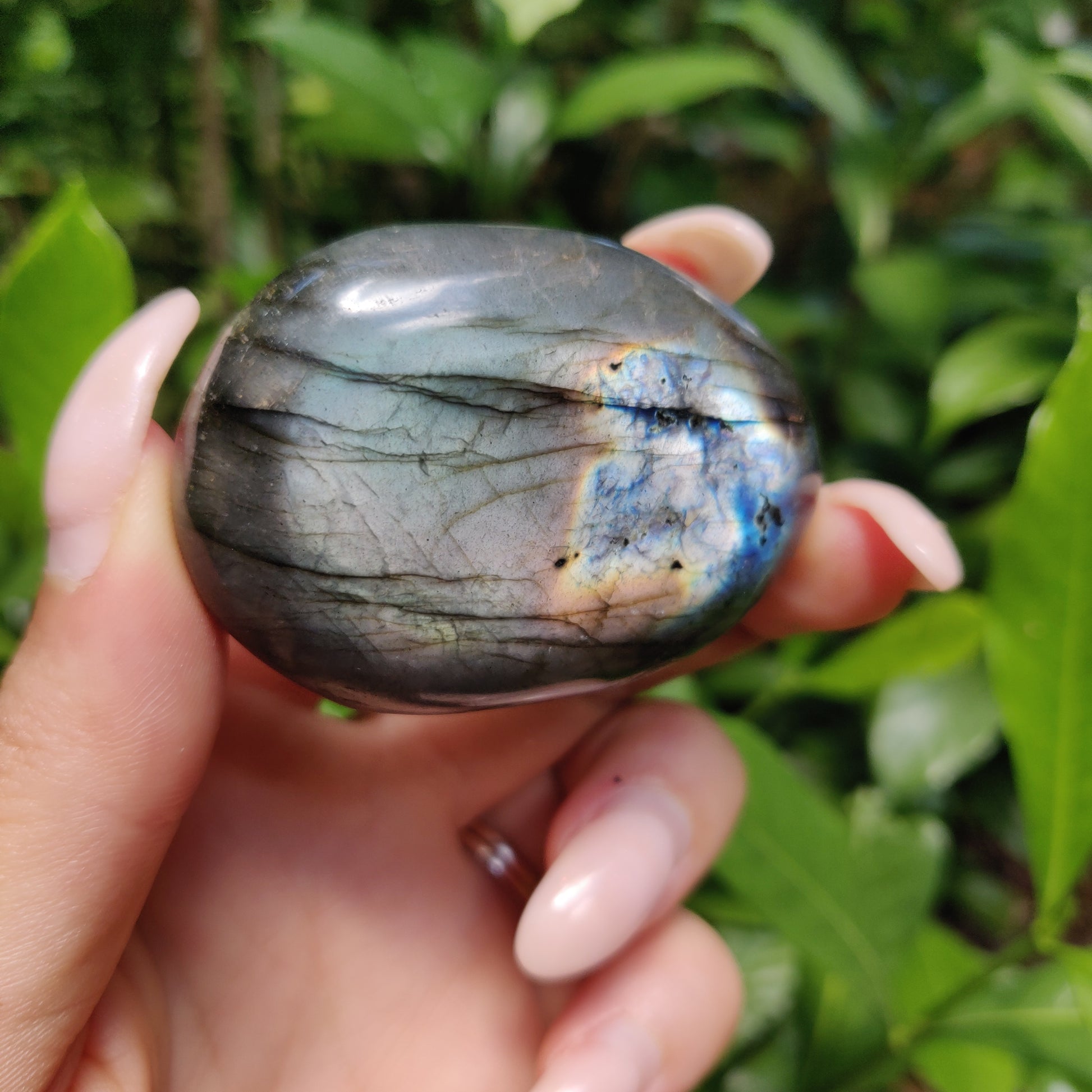 Labradorite Palm Stone (#127) - Simply Affinity