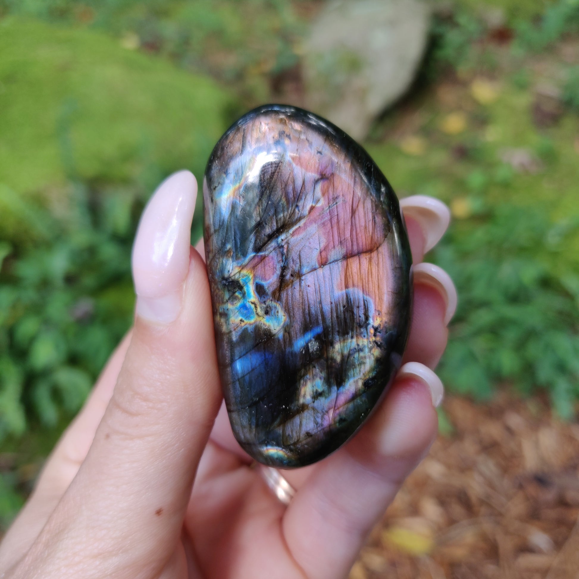 Labradorite Palm Stone (#172) - Simply Affinity