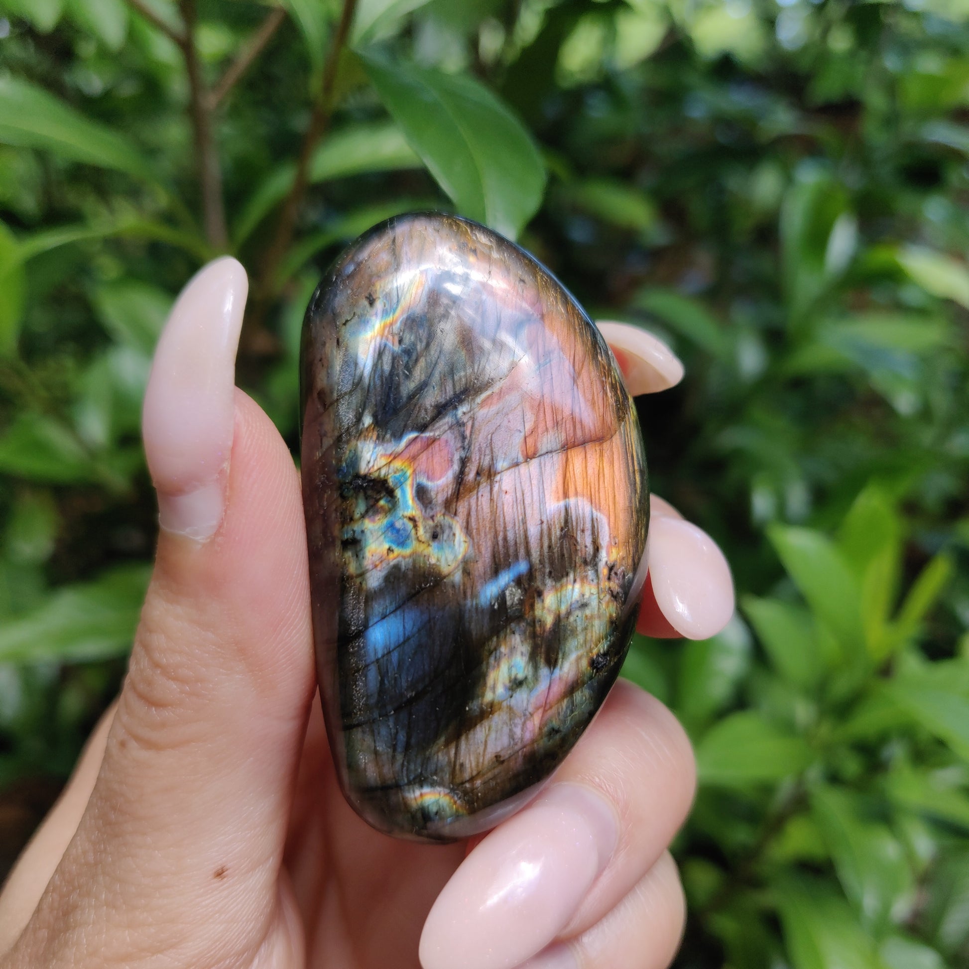 Labradorite Palm Stone (#172) - Simply Affinity
