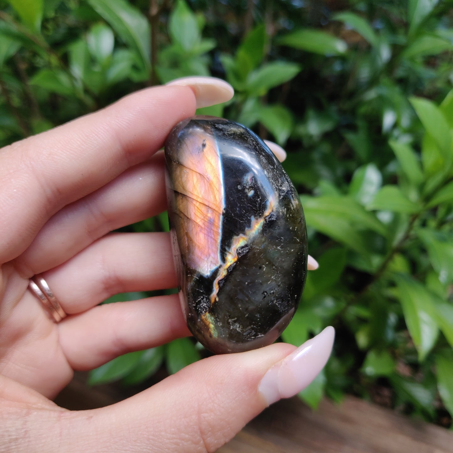 Labradorite Palm Stone (#172) - Simply Affinity