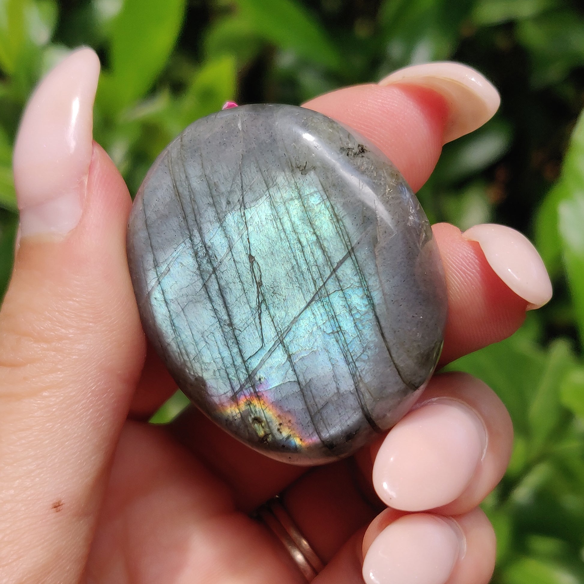 Labradorite Palm Stone (#56) - Simply Affinity