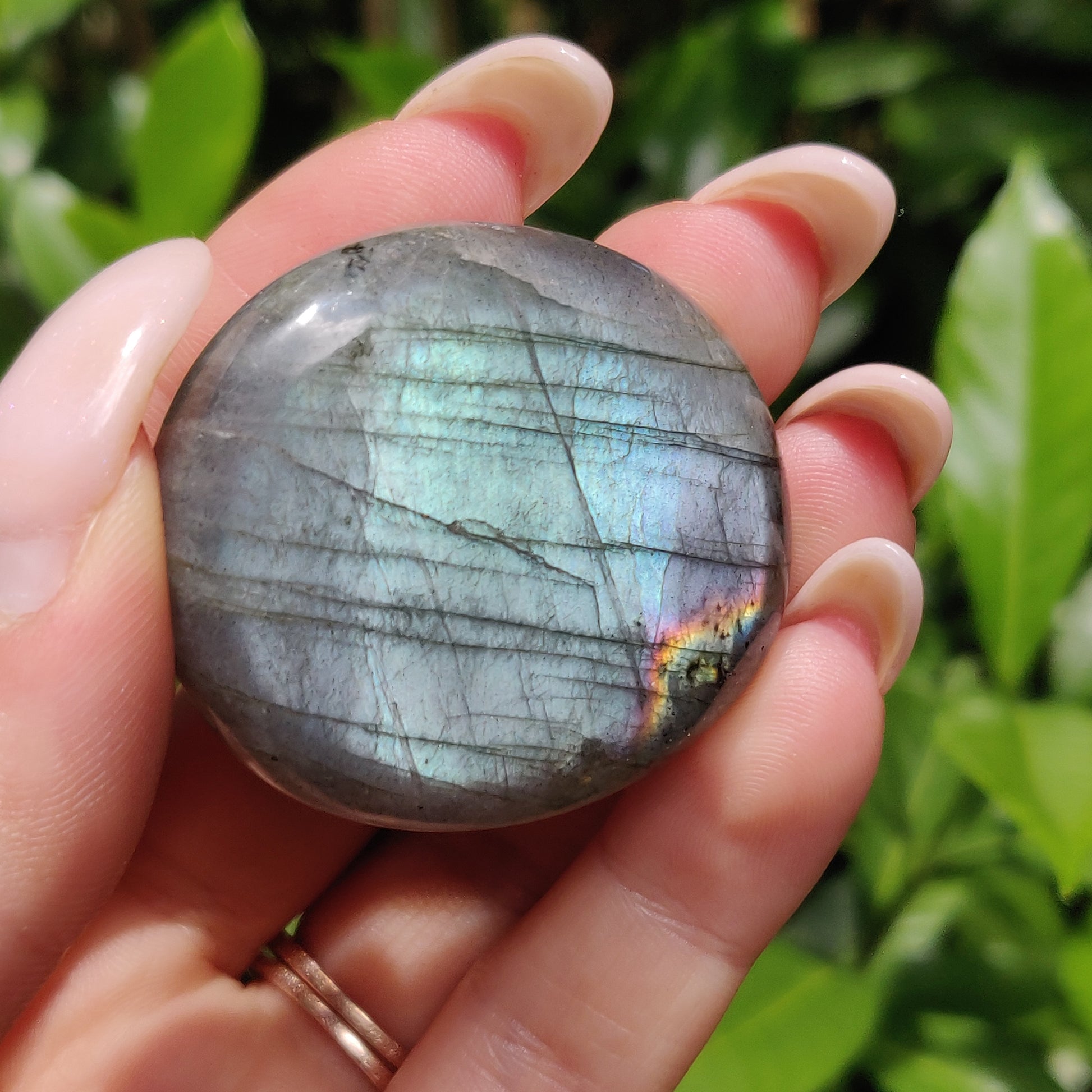 Labradorite Palm Stone (#56) - Simply Affinity