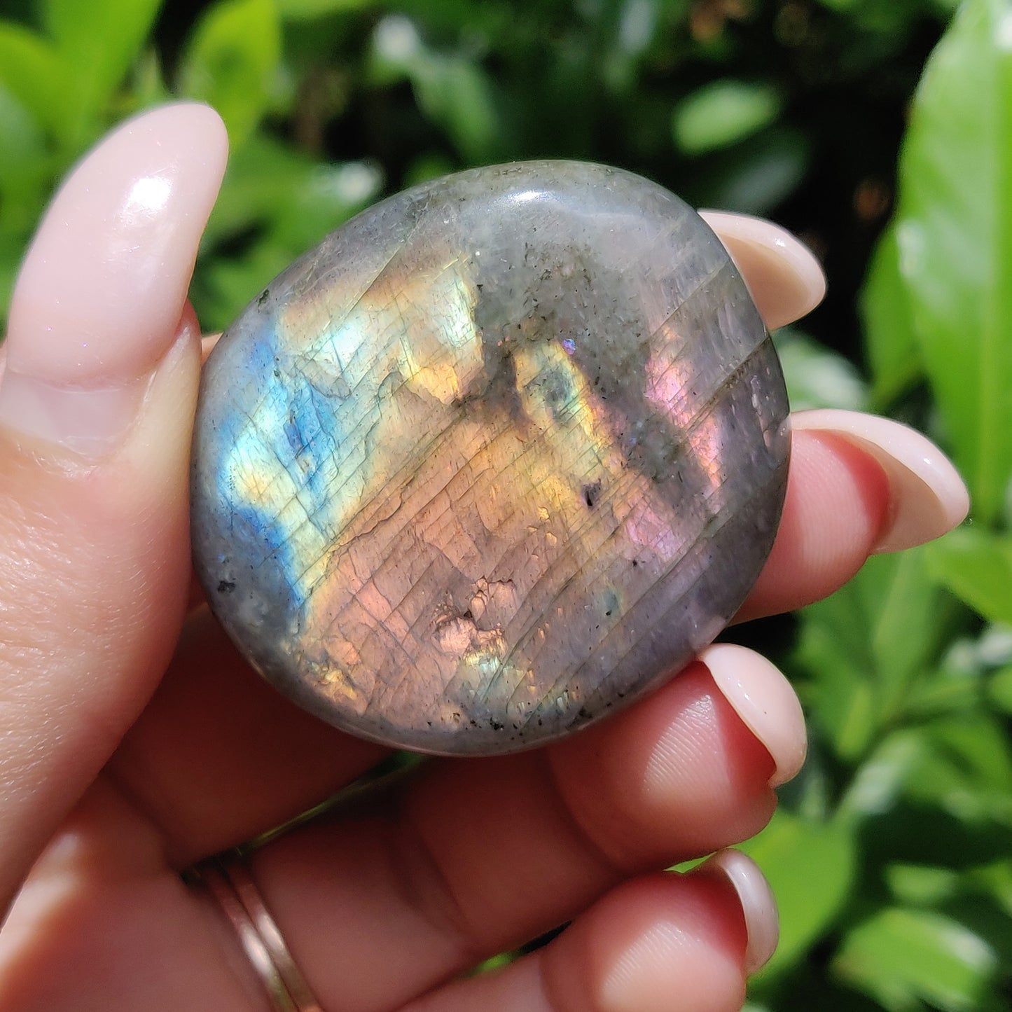 Labradorite Palm Stone (#56) - Simply Affinity