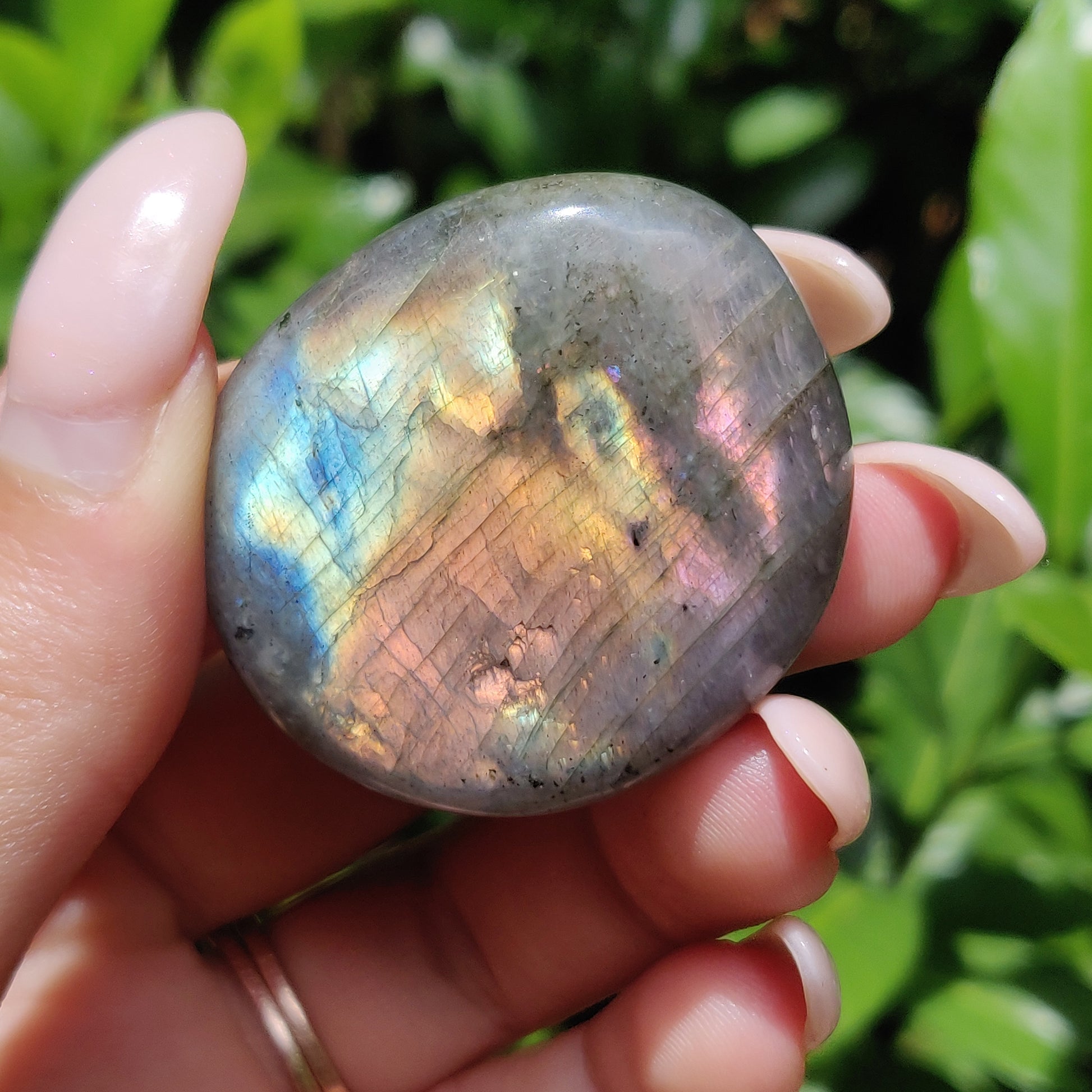Labradorite Palm Stone (#56) - Simply Affinity