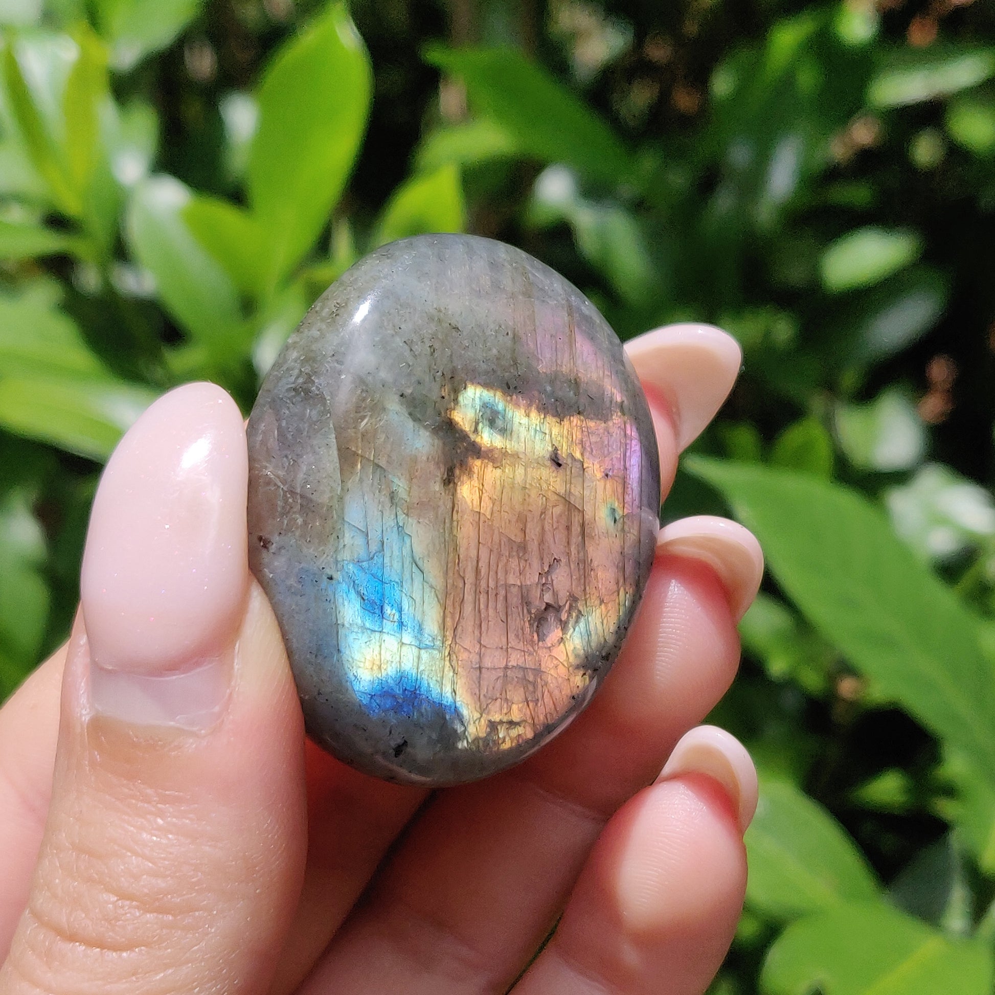 Labradorite Palm Stone (#56) - Simply Affinity