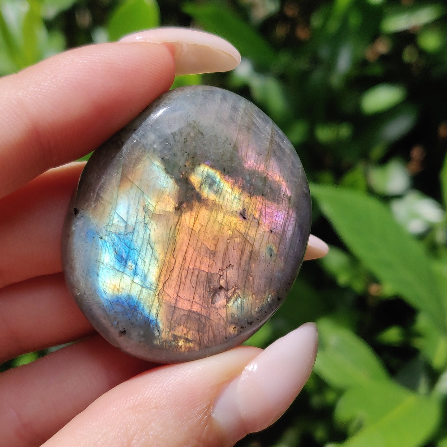 Labradorite Palm Stone (#56) - Simply Affinity
