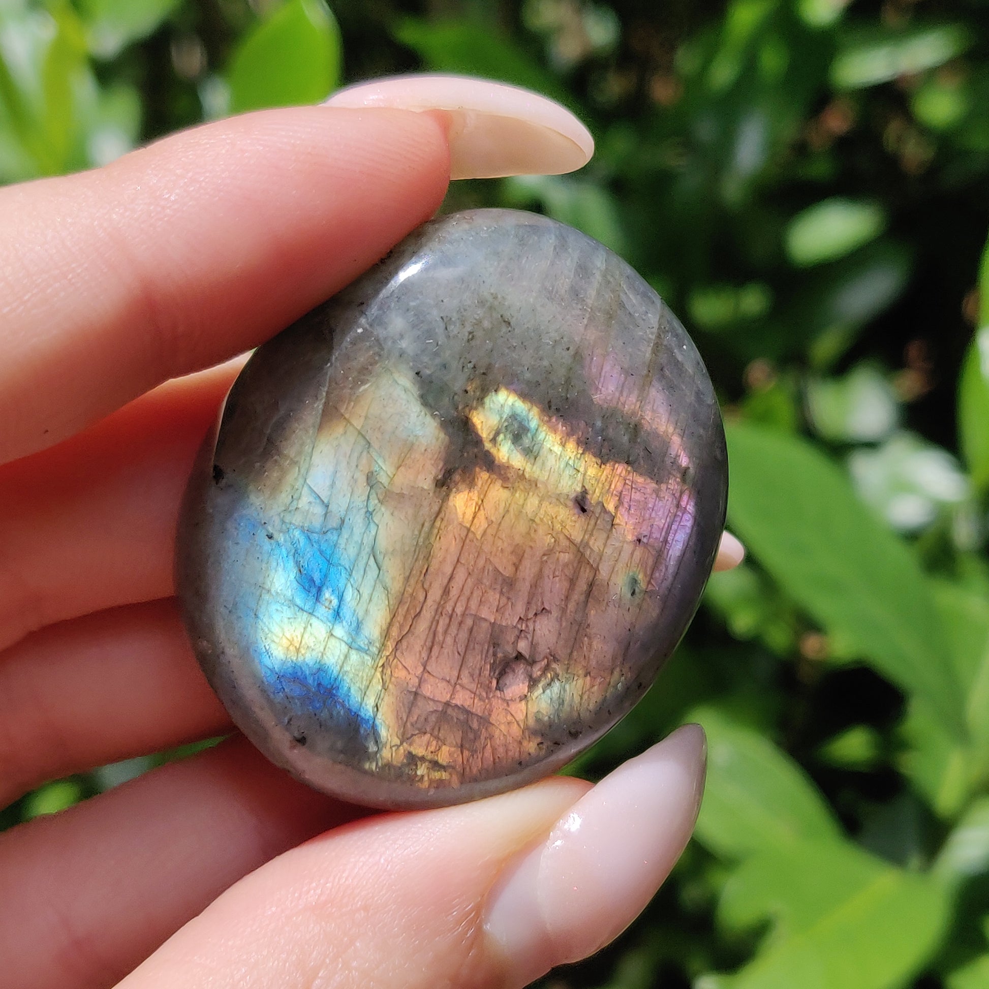 Labradorite Palm Stone (#56) - Simply Affinity