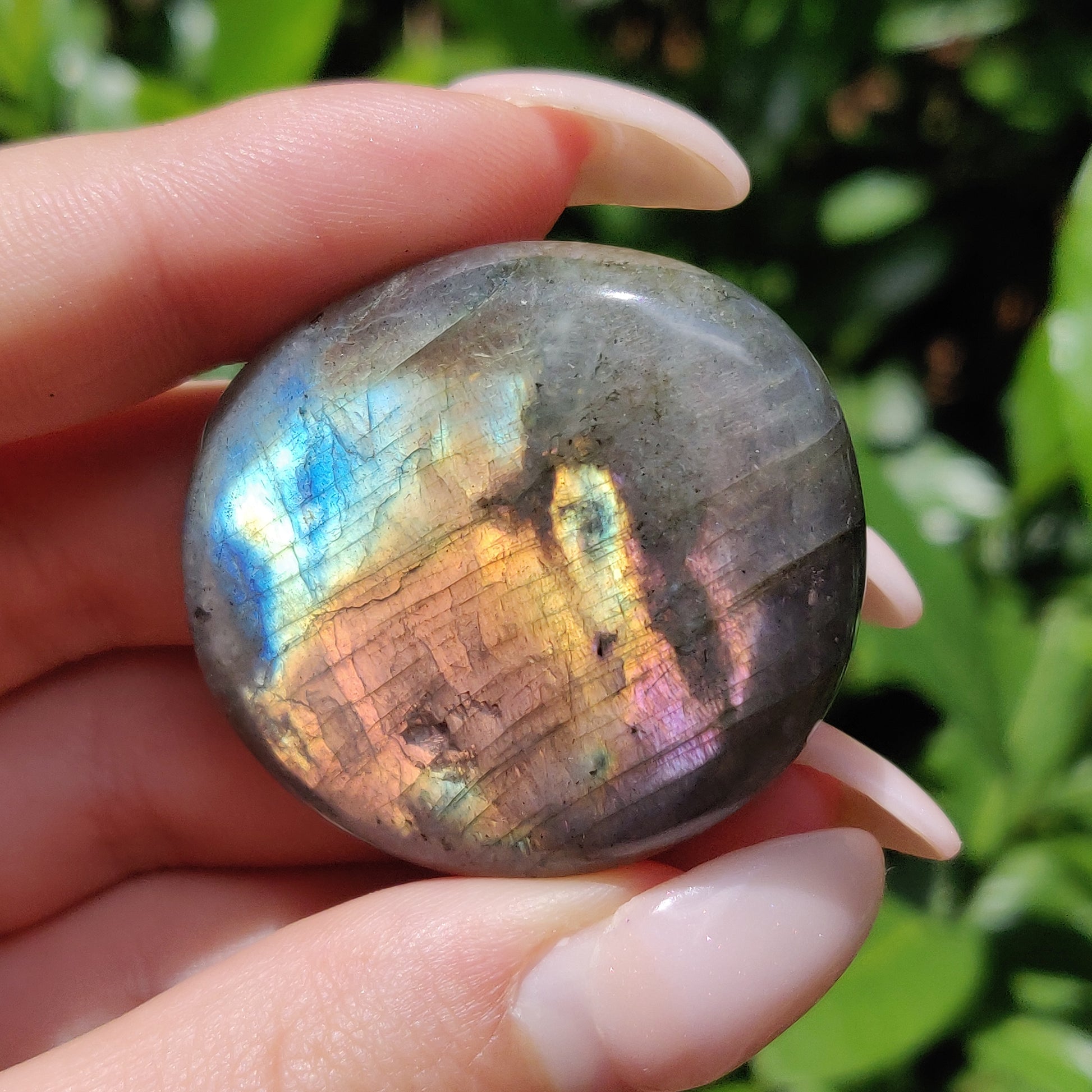 Labradorite Palm Stone (#56) - Simply Affinity