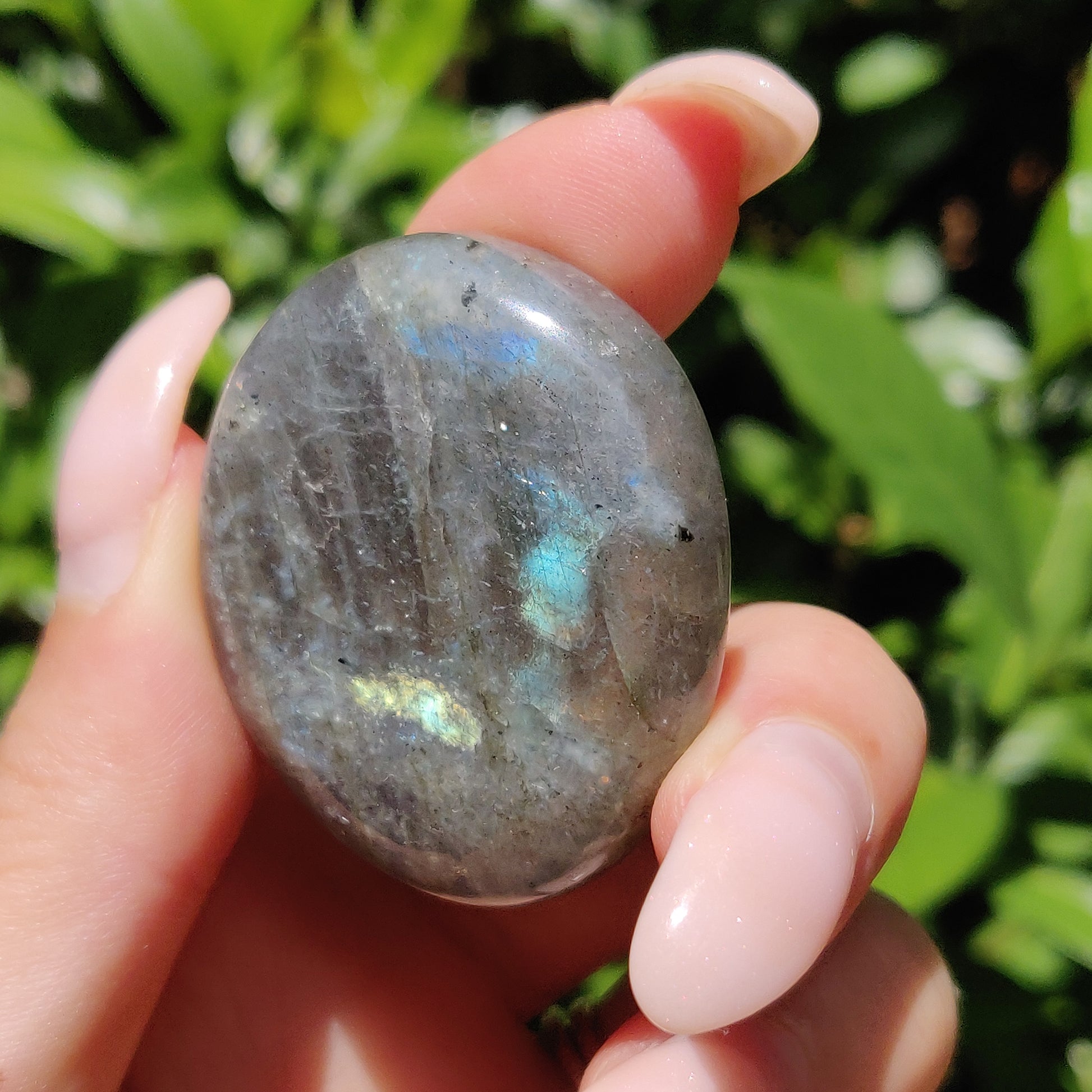 Labradorite Palm Stone (#56) - Simply Affinity