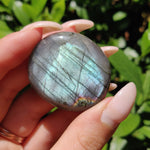 Labradorite Palm Stone (#56) - Simply Affinity