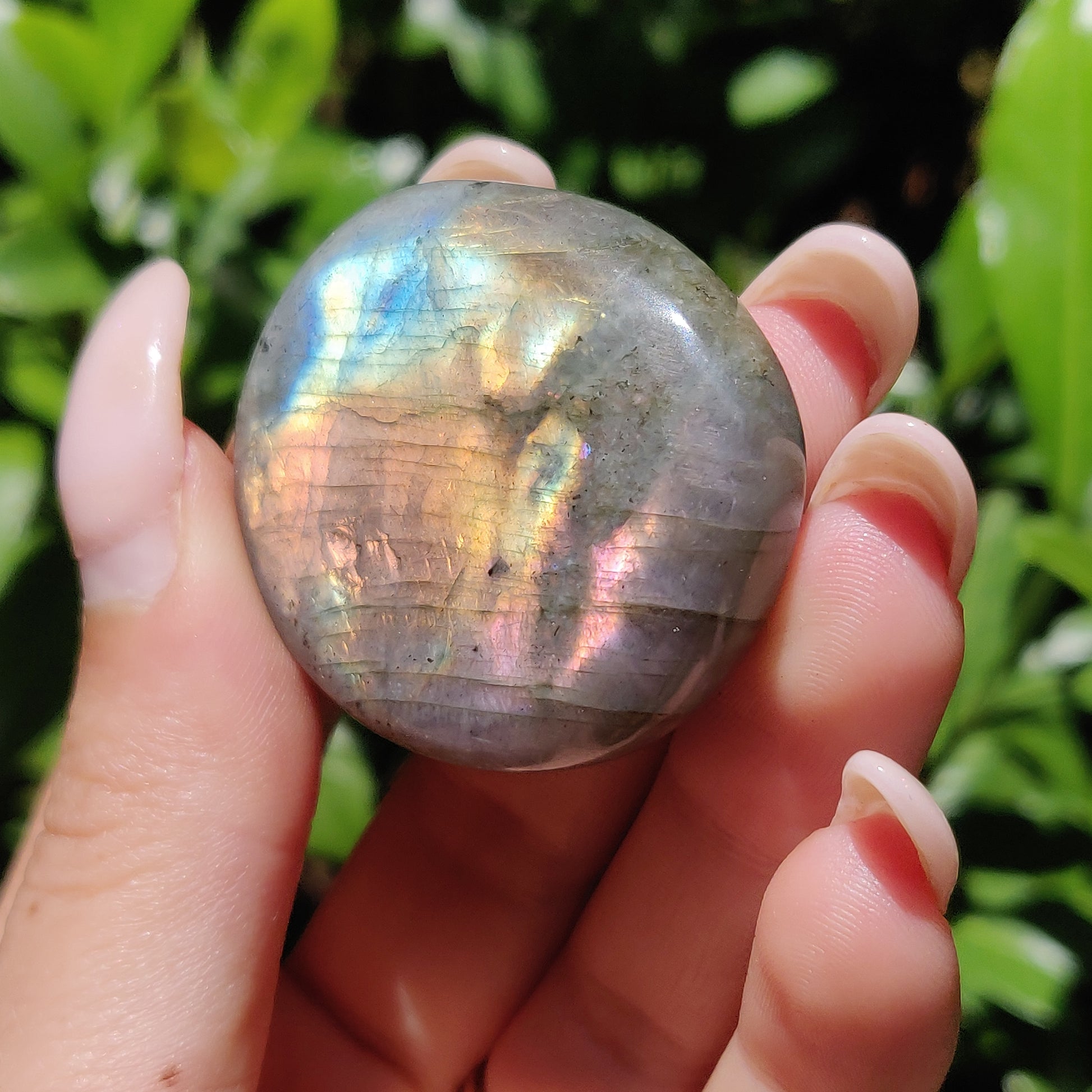 Labradorite Palm Stone (#56) - Simply Affinity