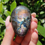 Labradorite Palm Stone (#210) - Simply Affinity