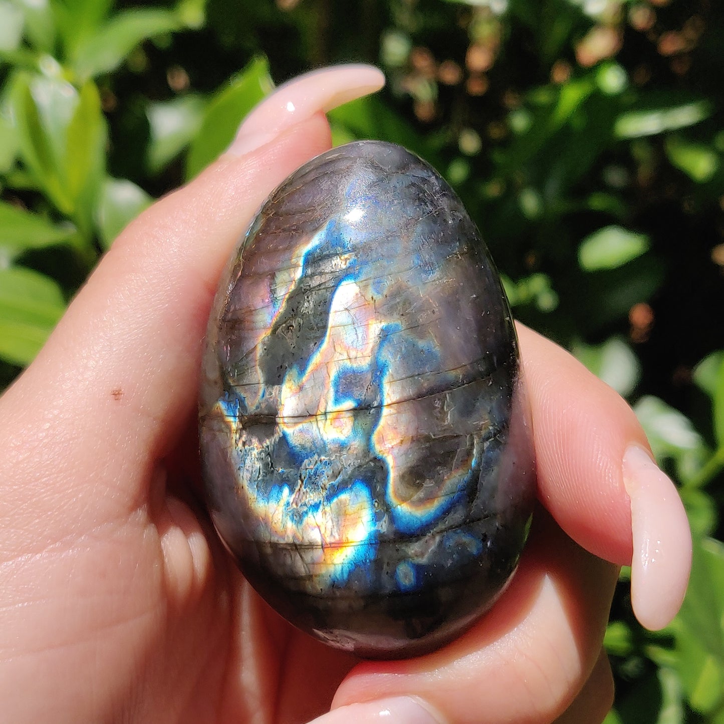 Labradorite Palm Stone (#210) - Simply Affinity