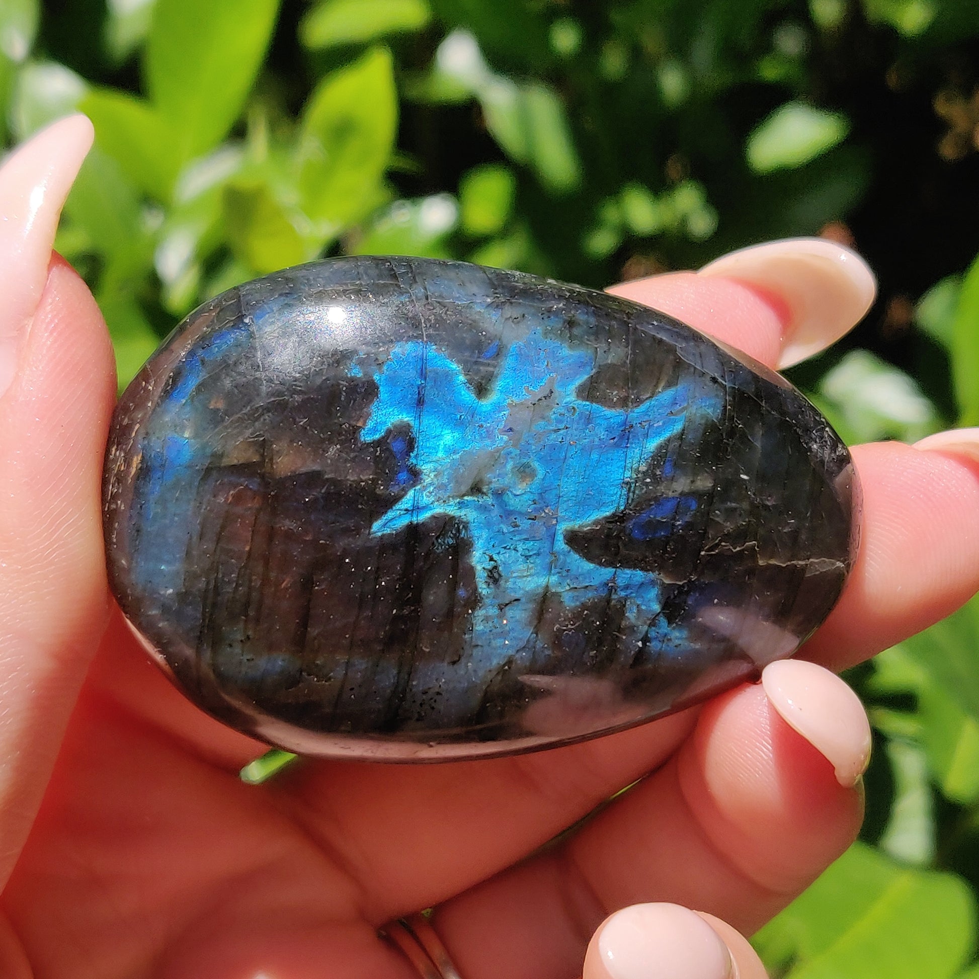 Labradorite Palm Stone (#210) - Simply Affinity