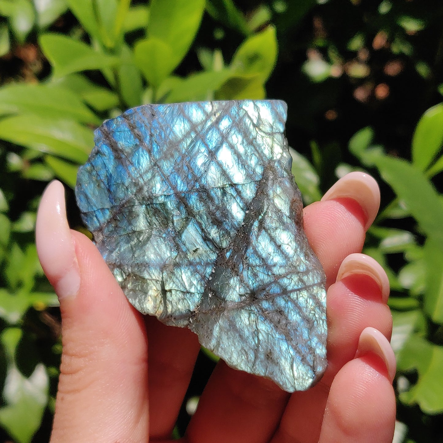 Labradorite Slab (#62) - Simply Affinity