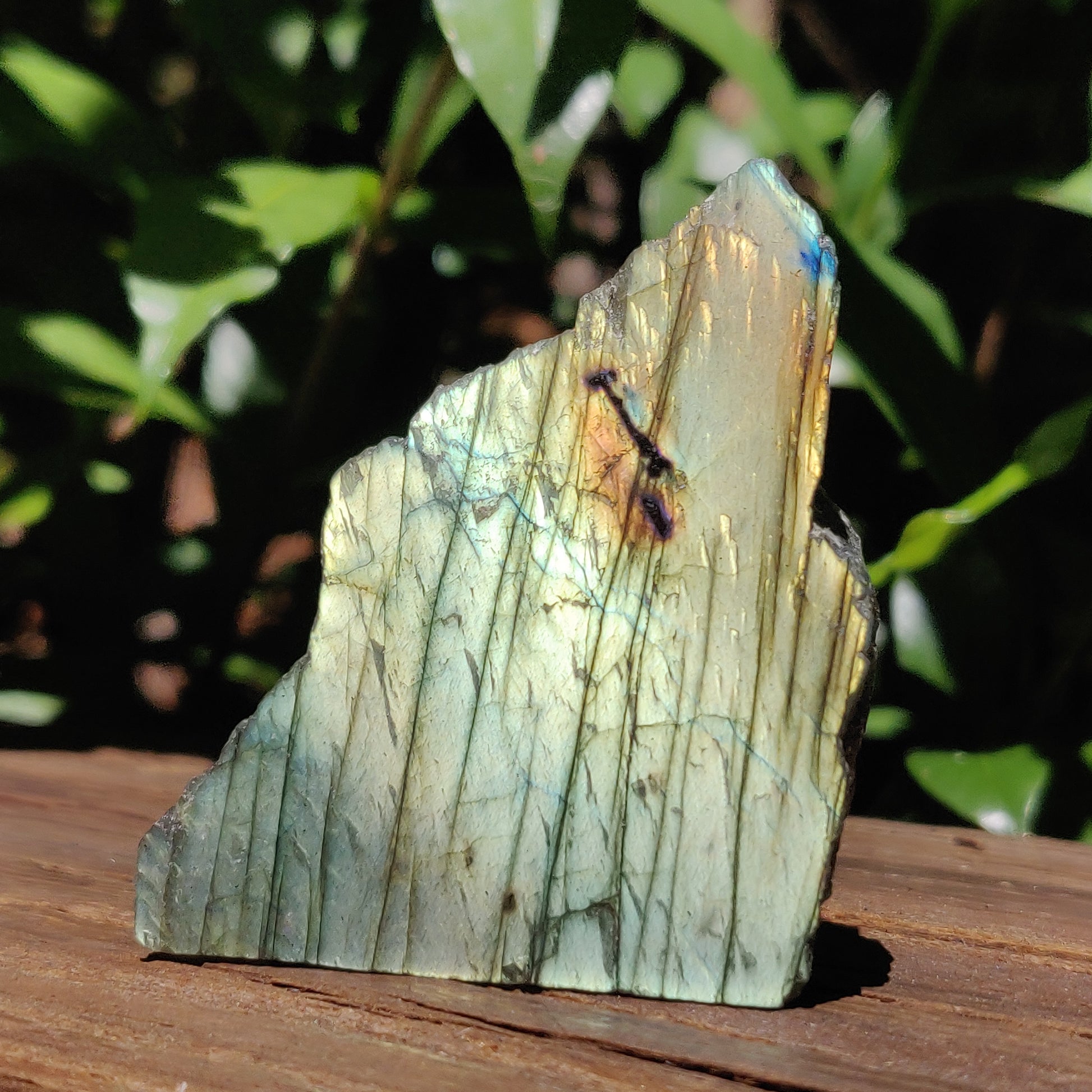 Self-Standing Labradorite Slab (#29A) - Simply Affinity