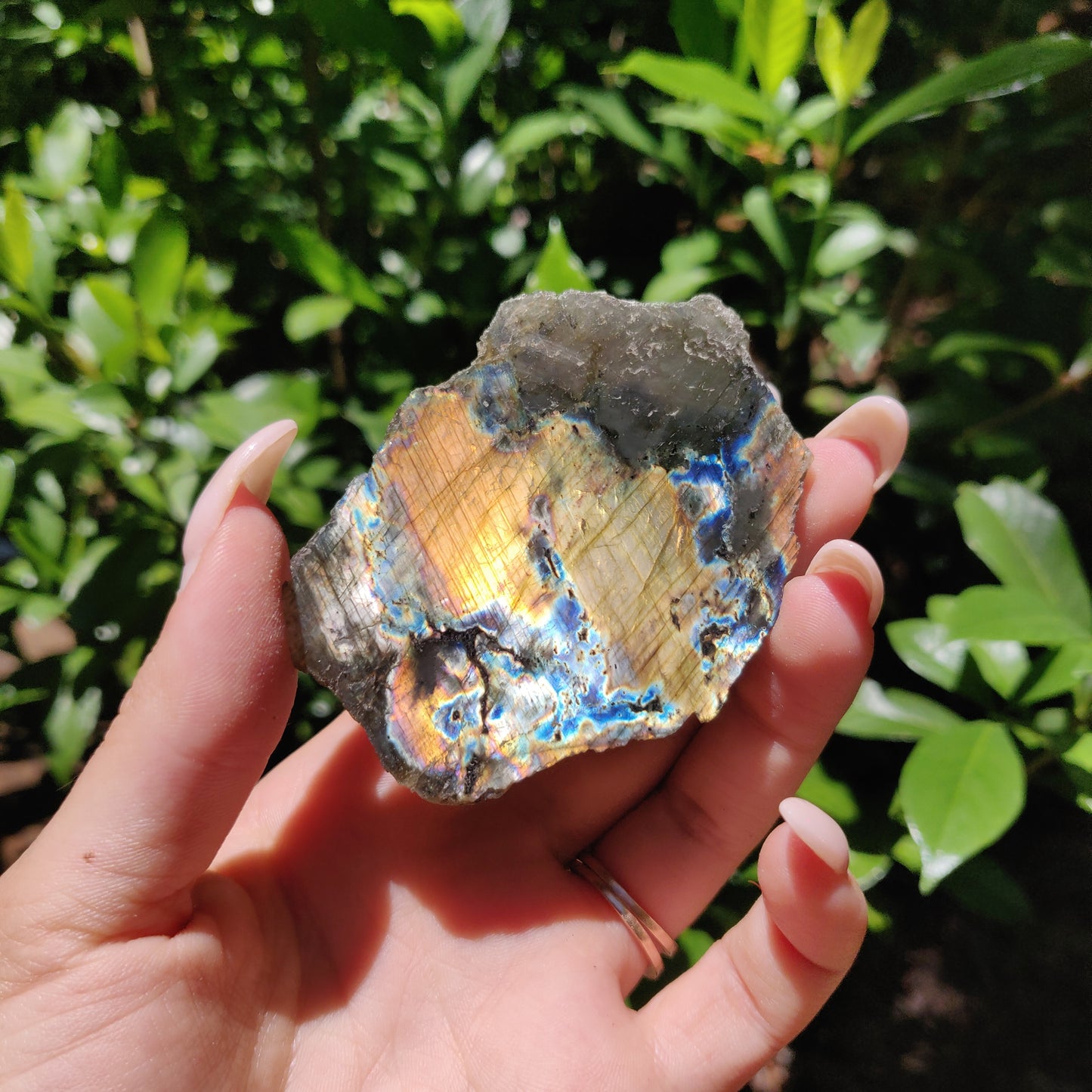 Labradorite Slab (#59) - Simply Affinity