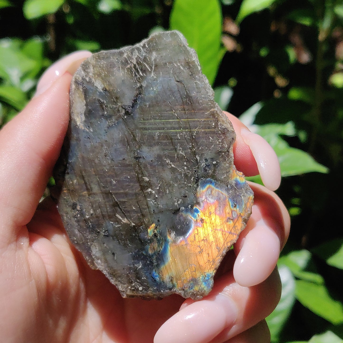 Labradorite Slab (#59) - Simply Affinity