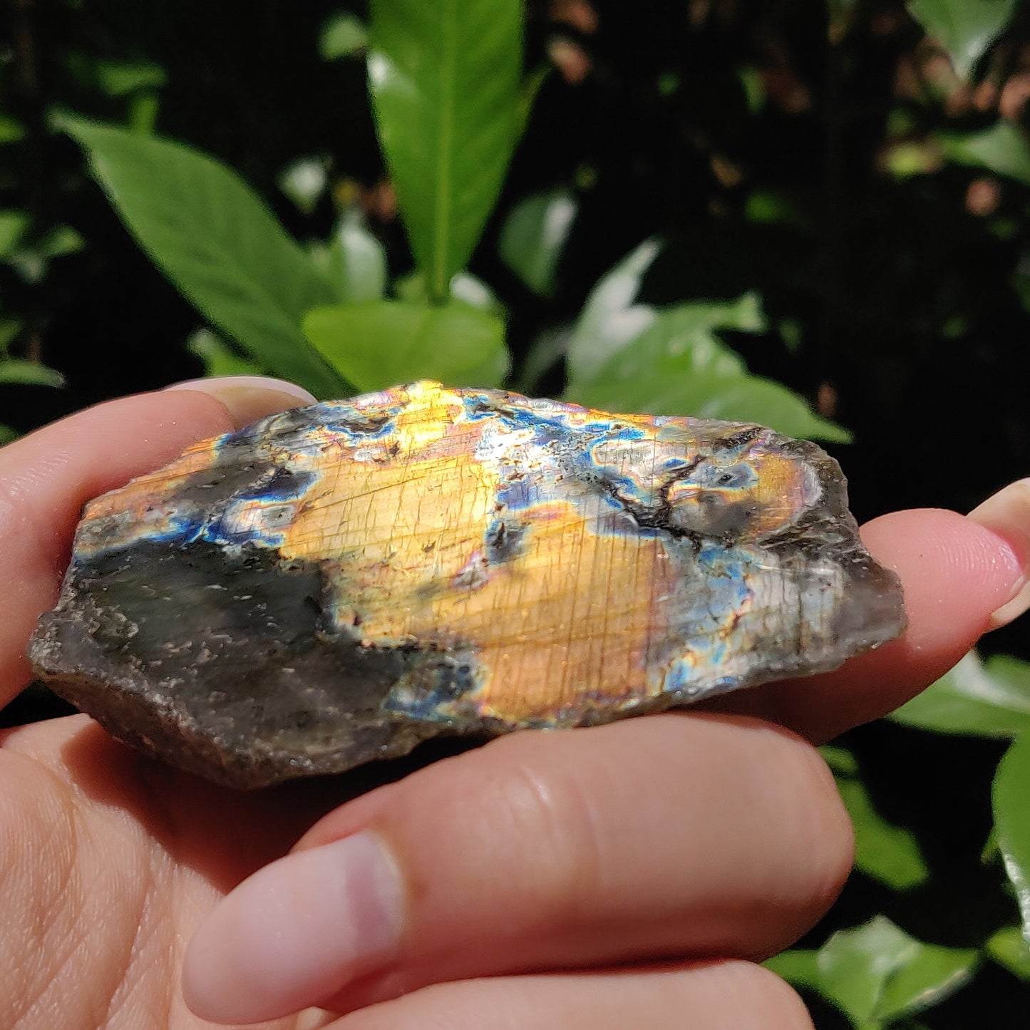 Labradorite Slab (#59) - Simply Affinity